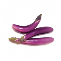 Organic Eggplant