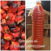 Pure red Palm oil