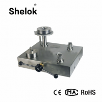 Dwt Oil Piston Dead Weight Tester For Pressure Gauges Transmitters
