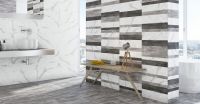 Whitant Matt Ceramic Wall Tiles