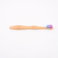 Natural Bamboo Toothbrushes Durable and Eco-Friendly Bamboo Handles for Natural Dental Care