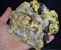 1592.50 Gram Mariposa California Gold & Quartz 