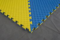 Taekwondo tatami judo used puzzle mats for sale