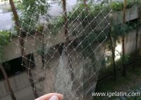 Our Expertise - Leaf Gelatine ï¼ˆGelatin sheets)