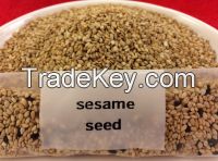 Sesame Seeds Fresh and Natural wholesale supplier
