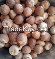 High Quality Whole &amp; Split Betel Nut