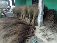 Indonesian broom