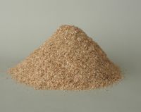 Wheat Bran for sale