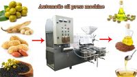 Black Seeds Castor Peanut Palm Cold Oil Press Machine