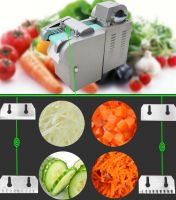 Multifunction Electric Vegetable Cutter Slicer Cutting Machine