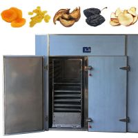 Electric Fish Dryer Drying Dehydrator Machine