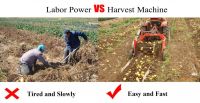 Garlic Potato Combine Digger Harvester Machine