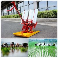 Farm Use Rice Paddy Seed Sowing Planting Machine In India