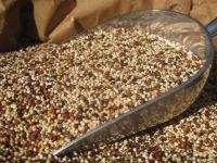 Quinoa seeds