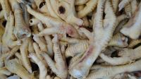 Unprocessed Chicken Feet 20-40gr / Hungary / Russia or Ukraine Origin