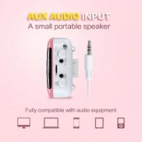 S318F UHF wireless Voice Amplifier 10 Watt