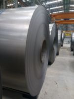 Pre painted galvanized steel coils (PPGI)