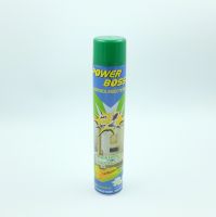 Aerosol Insecticide Spray With Factory Price For Children