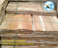 Acacia/Eucalyptus/Keruing Core Veneer - Best Quality Best Price Wood Veneer