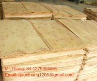 Core Veneer in Vietnam - Acacia/Eucalyptus/Keruing Core Veneer