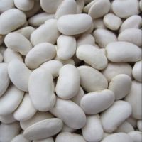 white kidney beans