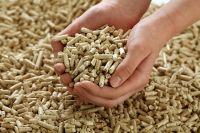 Pine Wood Pellet / Oak wood pellets / Fir wood pellets / Spruce wood pellets / Biomass wood pellets