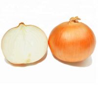 natural/cheap/high quality fresh yellow ,white , red onion