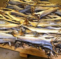 dried stockfish