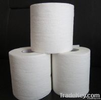 Toilet Paper