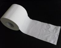 toilet tissue