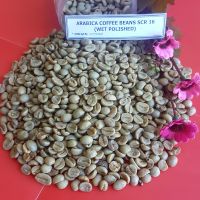 ARABICA COFFEE BEAN 