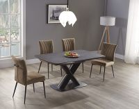 Lilia Dt Dining Table Extension Table