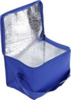 insulated cooler bag