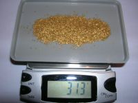 Gold Concentrate