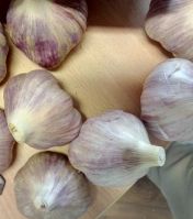 Premium Egyptian Garlic