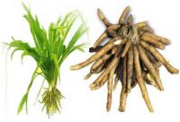 All kind of Ayurvedic, Medicinal and Raw Herbs