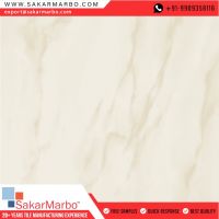 Polished Floor Tile