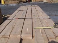    Oak , ash, beech, birch, pine , logs and lumber available 