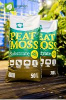Peat Moss Soil Conditioner