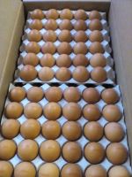 Brown and white chicken eggs