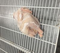 Whole frozen chicken