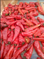 Red chilli pepper