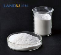  Redispersible Polymer Powder (RDP)