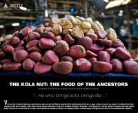 Kola Nut