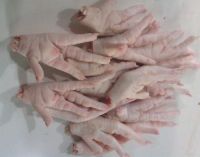 Chicken Paws , Halal Grade A Chicken Feet /, Frozen Chicken Paws