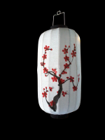 Silk Lantern/ Vietnam Lantern/ Beautiful Lights