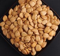 Wholesale Almonds Nuts