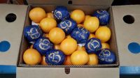 Mandarin Oranges, Bybay Orange, Fresh Orange, Fresh Mandarin