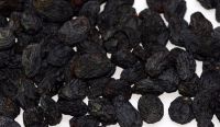 Black Raisins