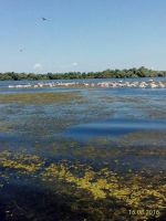 travel inDanube Delta